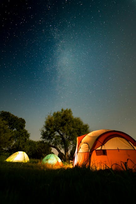 Tent campsite with picnic table and fire ring in a pine forest