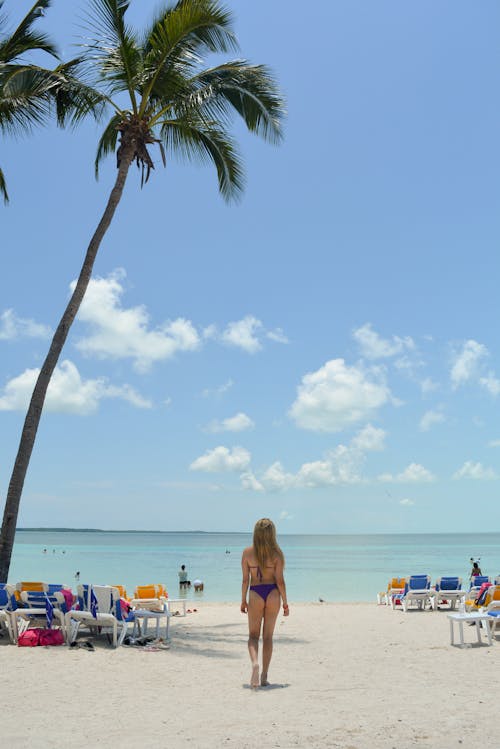 Free Back View of a Woman in Bikini Walking on the Shore Stock Photo
