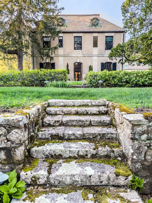 Gratis stockfoto met betonnen trappen, bomen, gazon