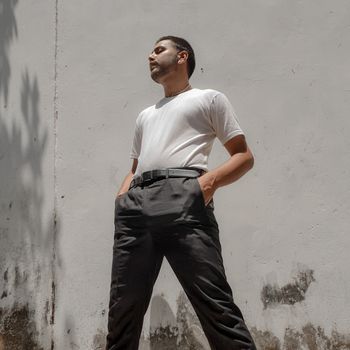 Dickies 874 Work Pants