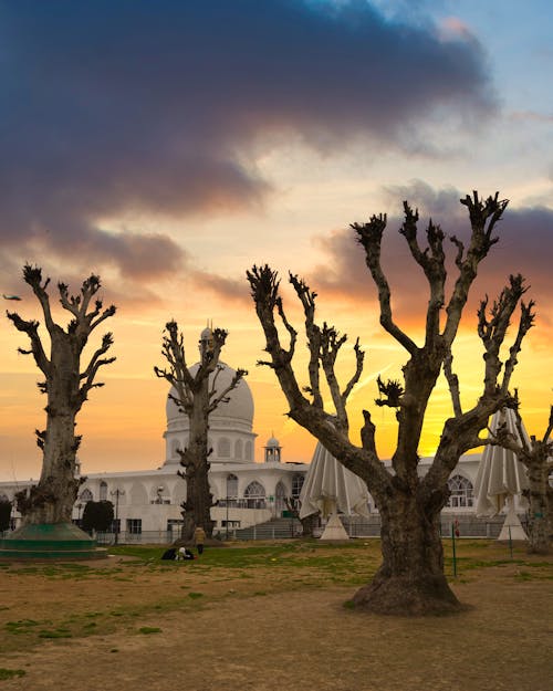 Ilmainen kuvapankkikuva tunnisteilla dargah sharif, hazratbal-pyhäkkö, Intia