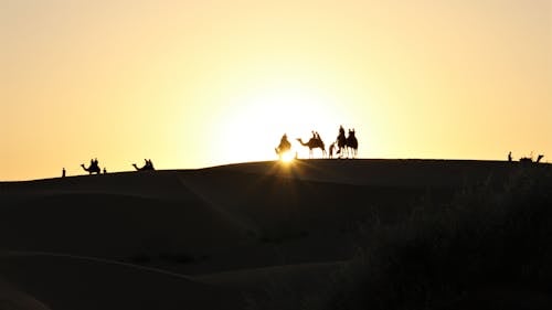 Silhouette of People On Camels  in The Desert