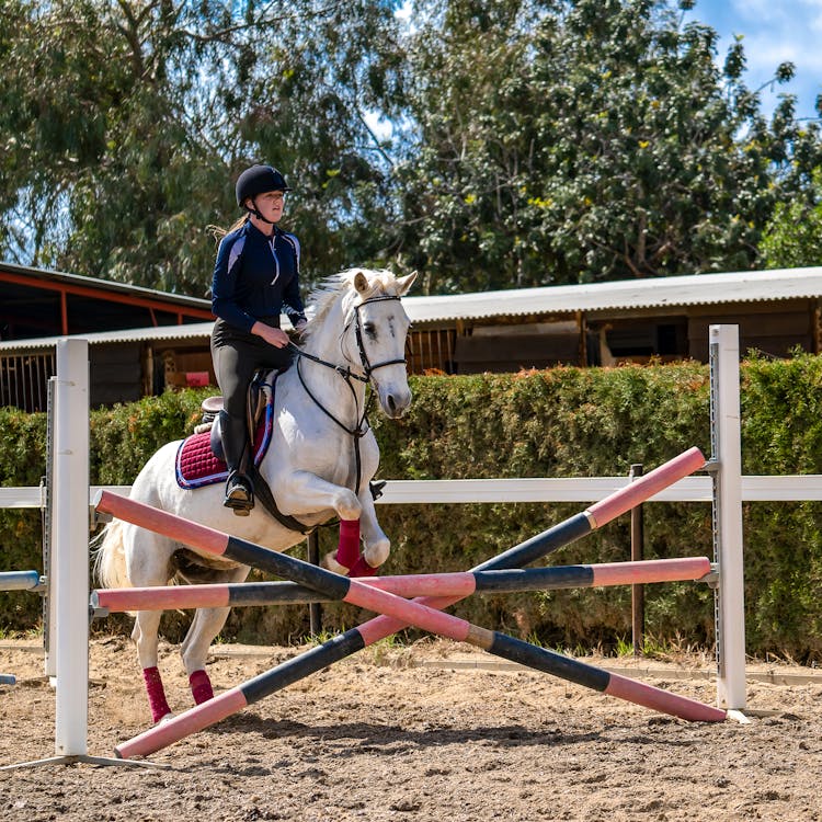 Jockey On Horse Leaping Over Hurdle