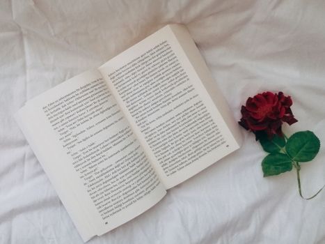 Flat lay of an open book and red rose on a white fabric background, offering a serene and romantic ambiance.
