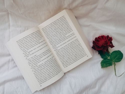 Free Flat lay of an open book and red rose on a white fabric background, offering a serene and romantic ambiance. Stock Photo