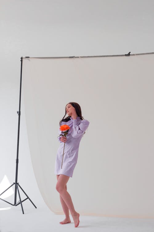 Full length of serious young lady in stylish purple dress with closed eyes with red chrysanthemum in hand standing in light studio near white curtain and wall