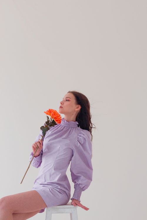 Free Confident female model in purple dress sitting on wooden chair while holding flower in studio on white background Stock Photo