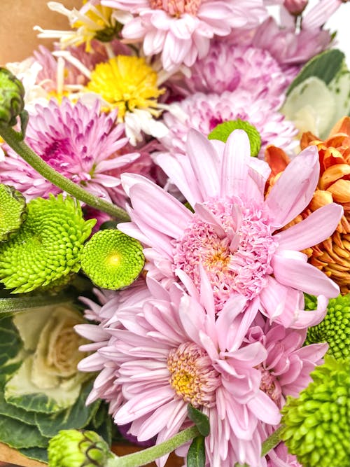 Fotos de stock gratuitas de arreglo floral, bonito, colorido
