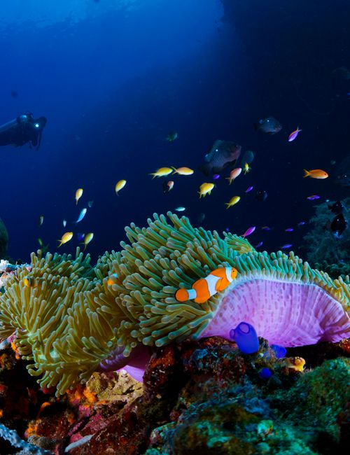 Gorontalo