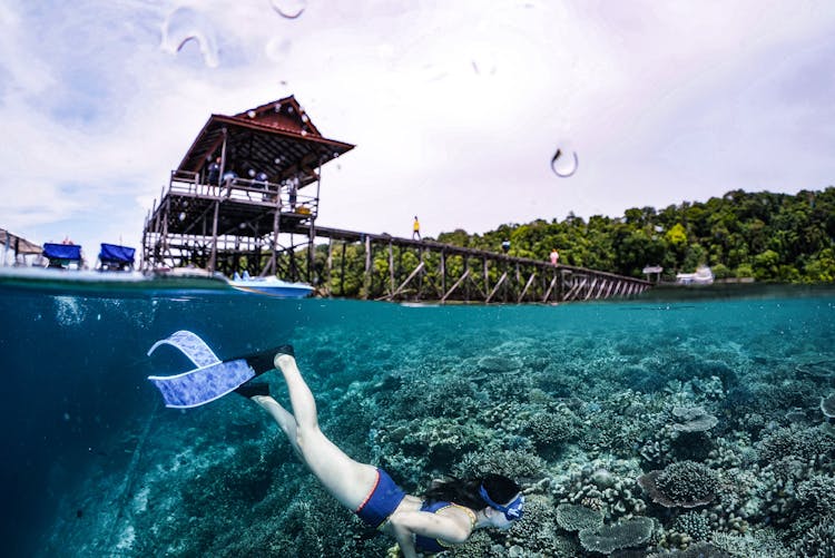 Woman Snorkeling In Sea Near Coral Reef