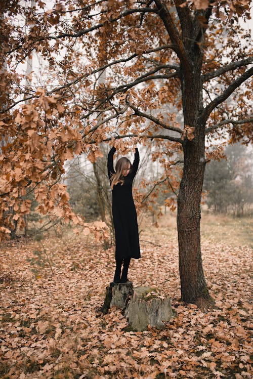 A Woman Standing on a Tree Stump 