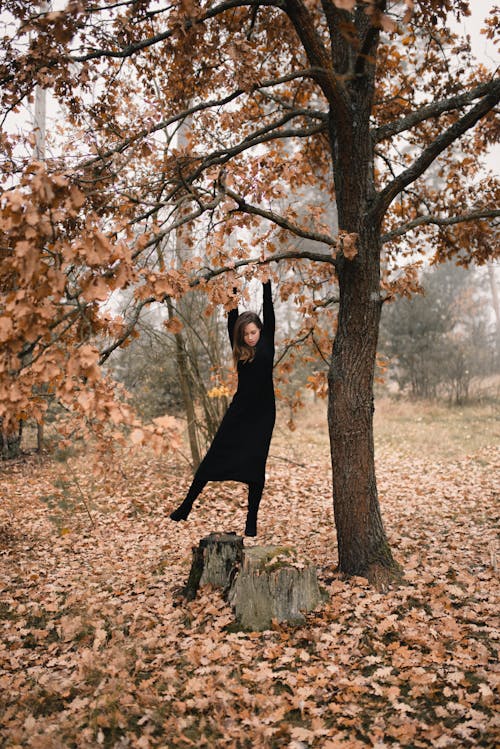 Woman In Black Dress Hanging On A Tree 
