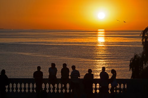 Základová fotografie zdarma na téma lidé, moře, oranžová obloha