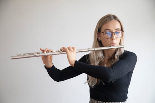 Foto profissional grátis de adestrado, flauta, instrumento de sopro
