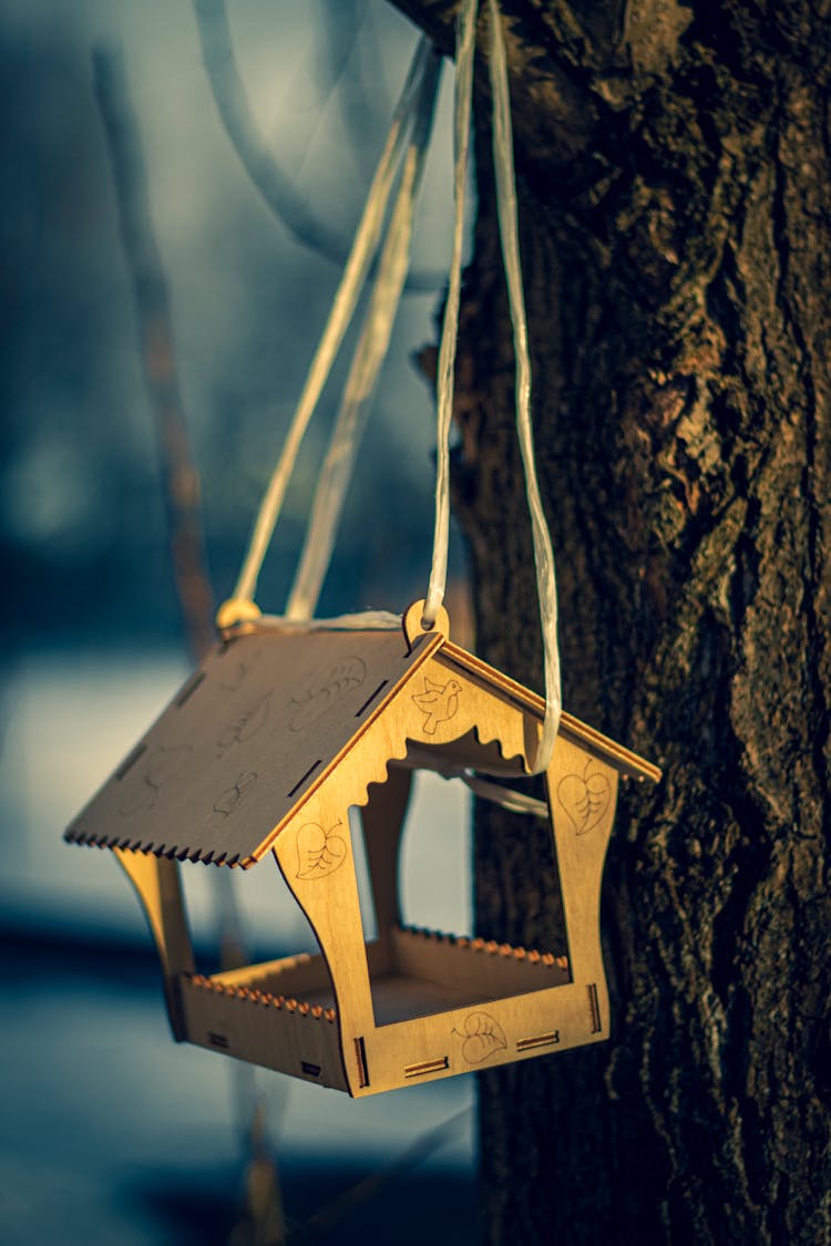 A Birdhouse Hanging 