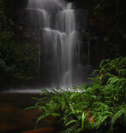 Free stock photo of landscape, nature, waterfall