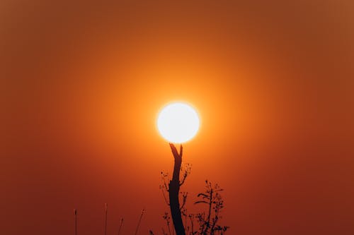 Ilmainen kuvapankkikuva tunnisteilla appelsiini, auringonlasku