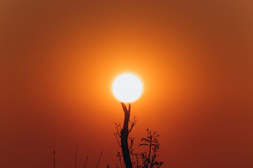 Free stock photo of orange, sunset Stock Photo