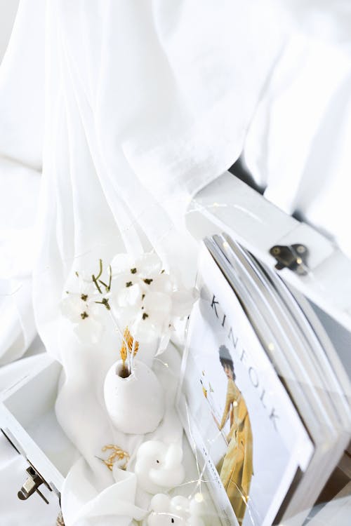 Fotos de stock gratuitas de blanco, estético, Flores blancas