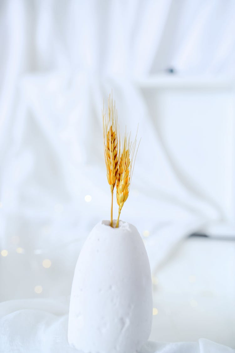 Pampas Grass On A White Vase