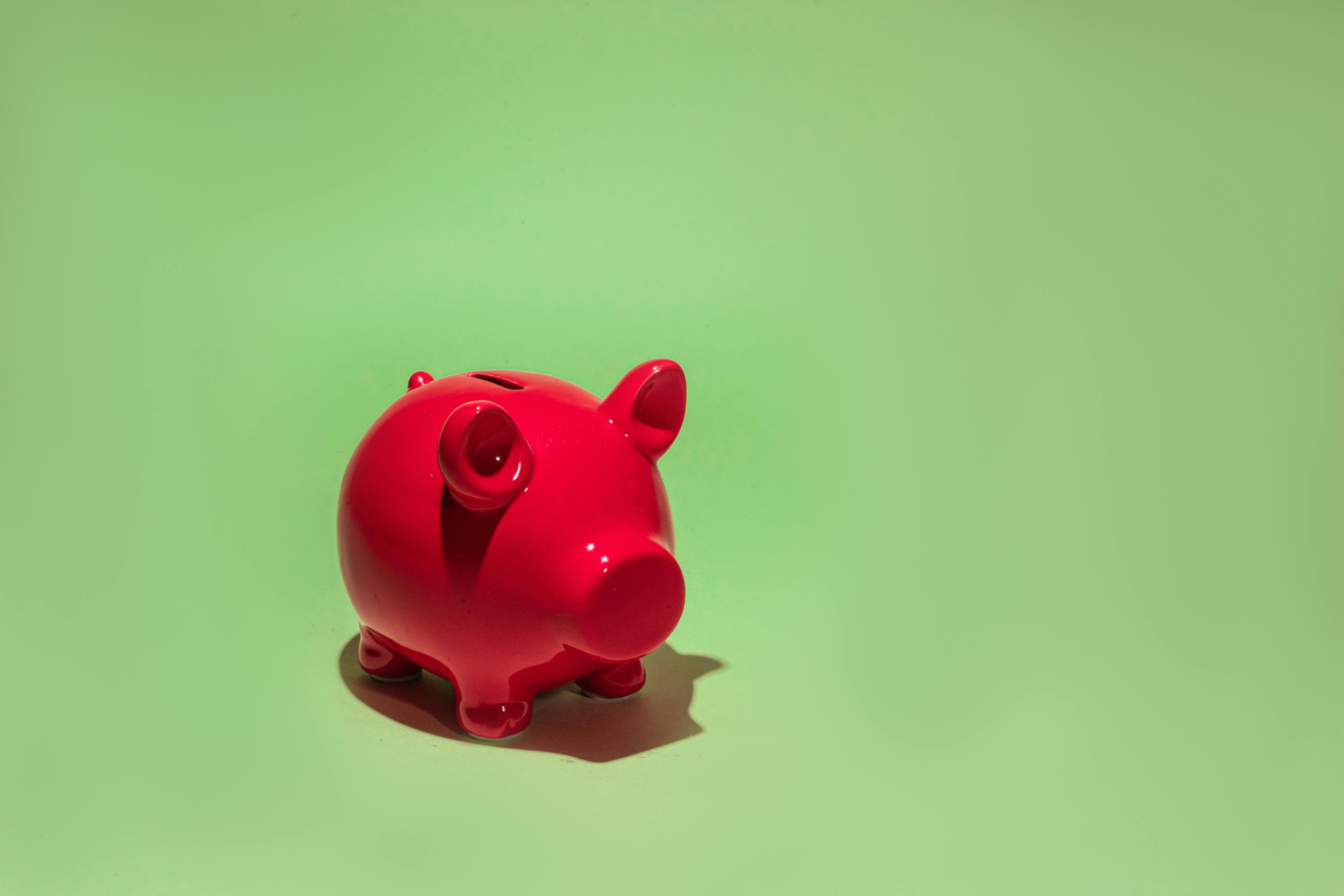 close up photo of pink piggy bank