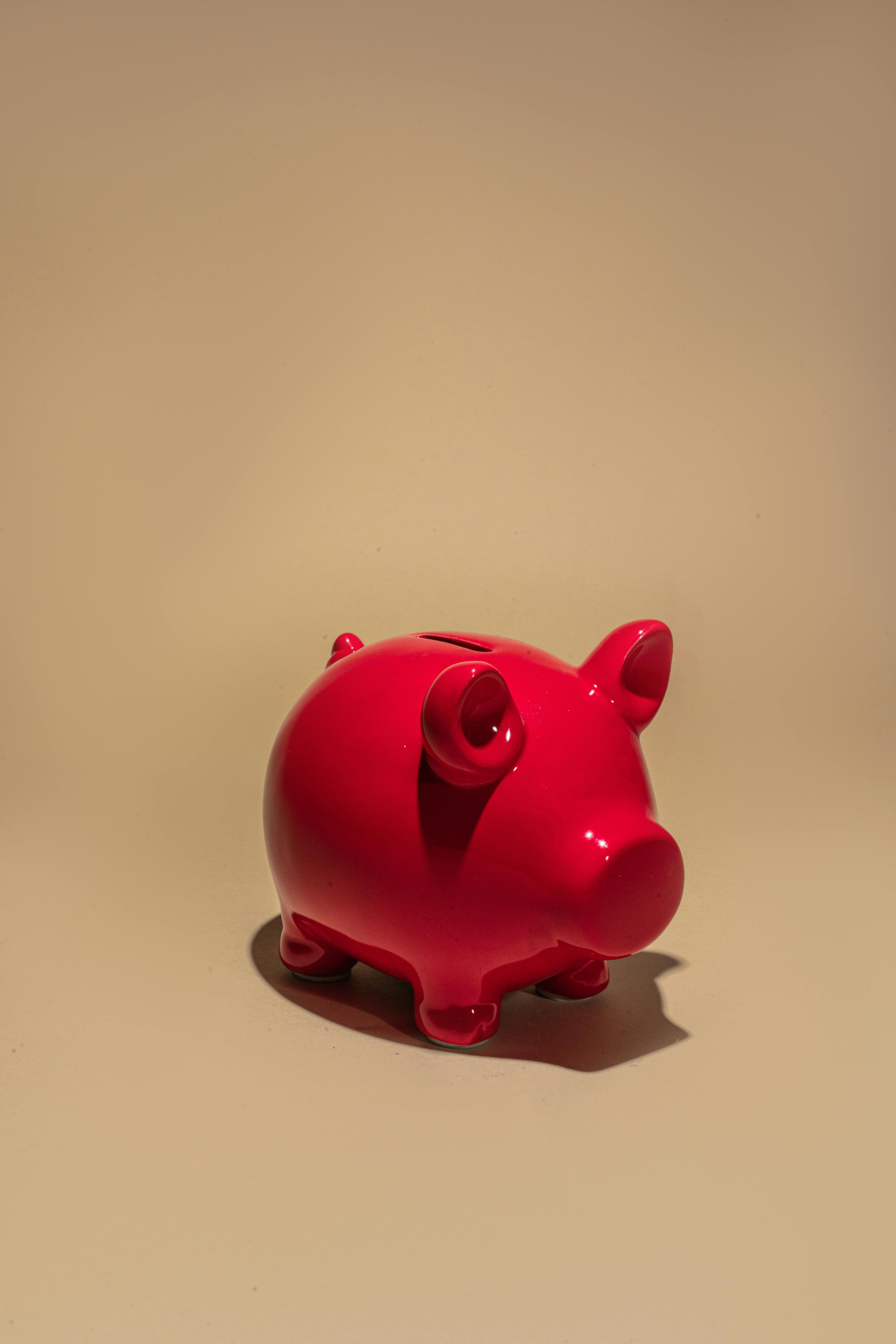 close up photo of pink piggy bank