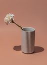 White Flower in White and Brown Polka Dot Vase