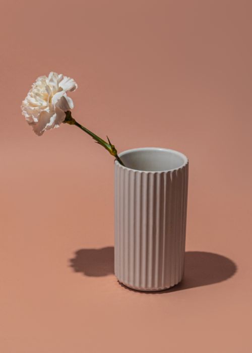 Free Minimalist close-up of a white flower in a ribbed ceramic vase against a peach backdrop. Stock Photo
