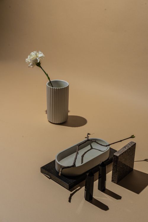 Free Minimalist still life with a white flower in a ceramic vase on a neutral backdrop. Stock Photo