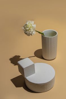 Simple arrangement of geometric shapes and a flower in soft sunlight.