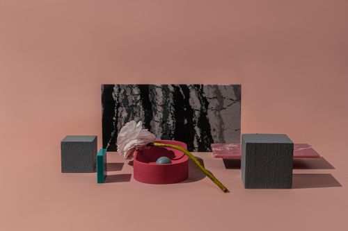 Free Abstract still life with geometric shapes and flower on pink background. Stock Photo