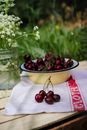 Bundles of aromatic sweet cherries in bowl on towel against jar with blossoming flowers in summer