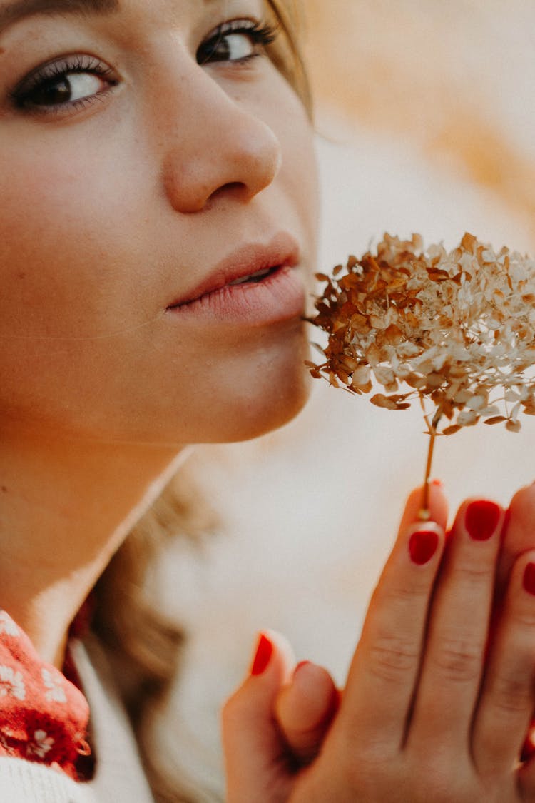 Crop Romantic Woman With Blooming Flower In Sunbeam