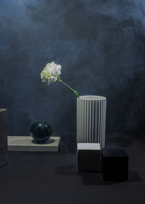 Free A minimalist still life featuring a white carnation in a ceramic vase alongside geometric shapes. Stock Photo
