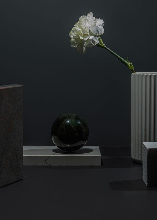 Free Dark minimalist still life featuring a single carnation in a vase with a black marble sphere on a gray background. Stock Photo