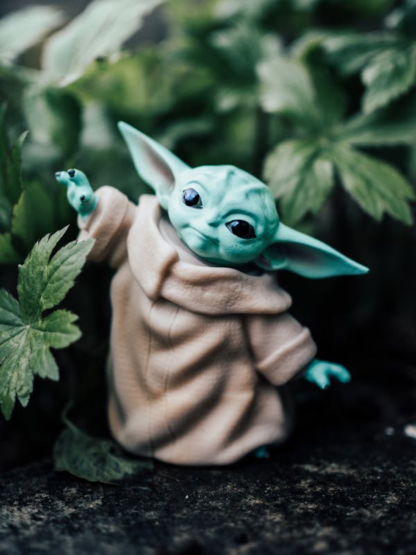 yoda