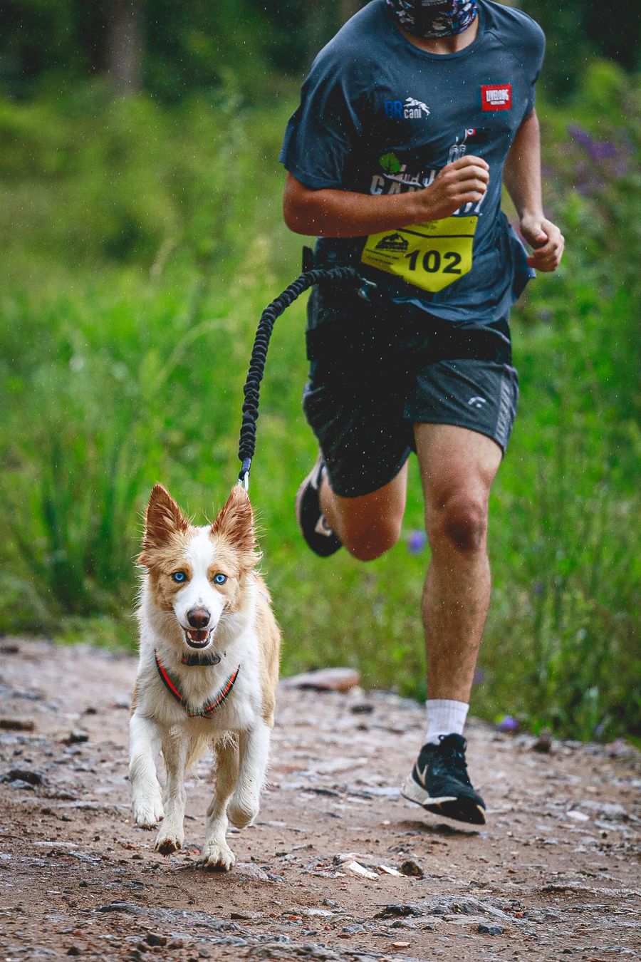 A man running alongside his dog on a sunlit dirt trail