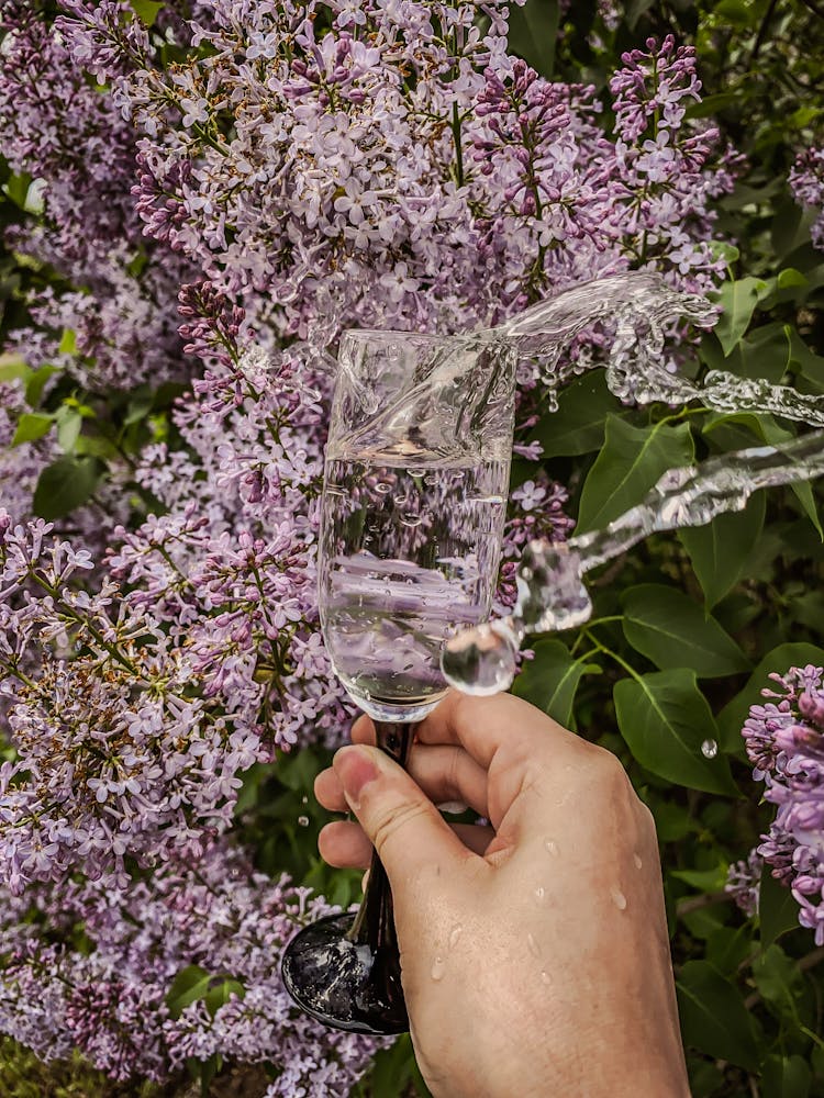 A Person Holding Clear Drinking Glass With Water