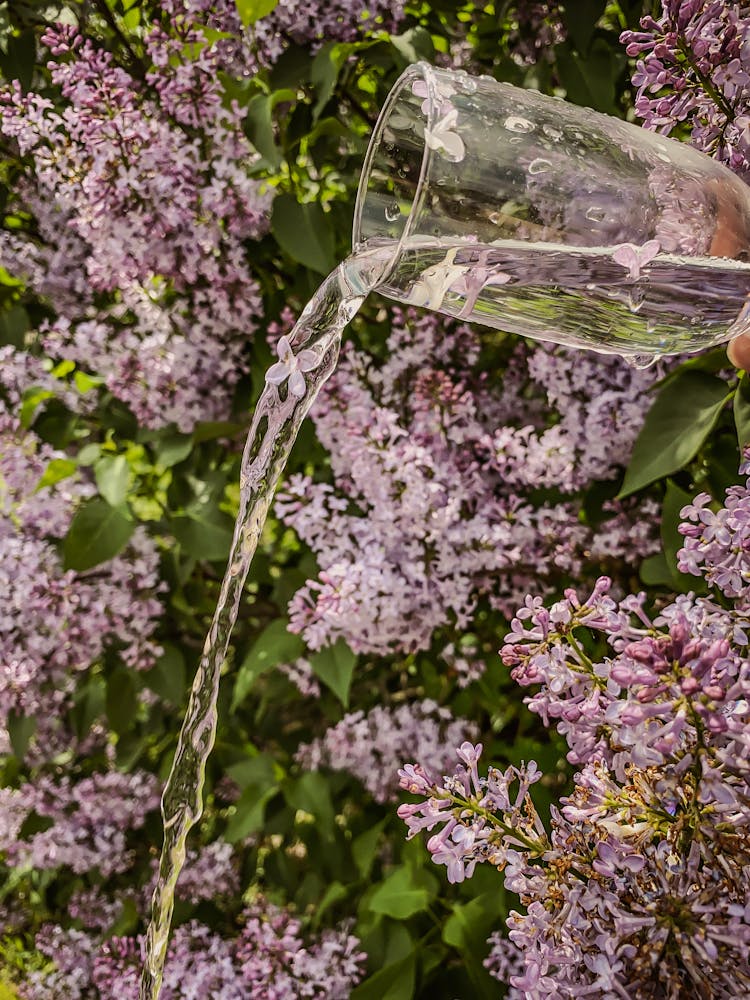 Water Spilling From A Glass 