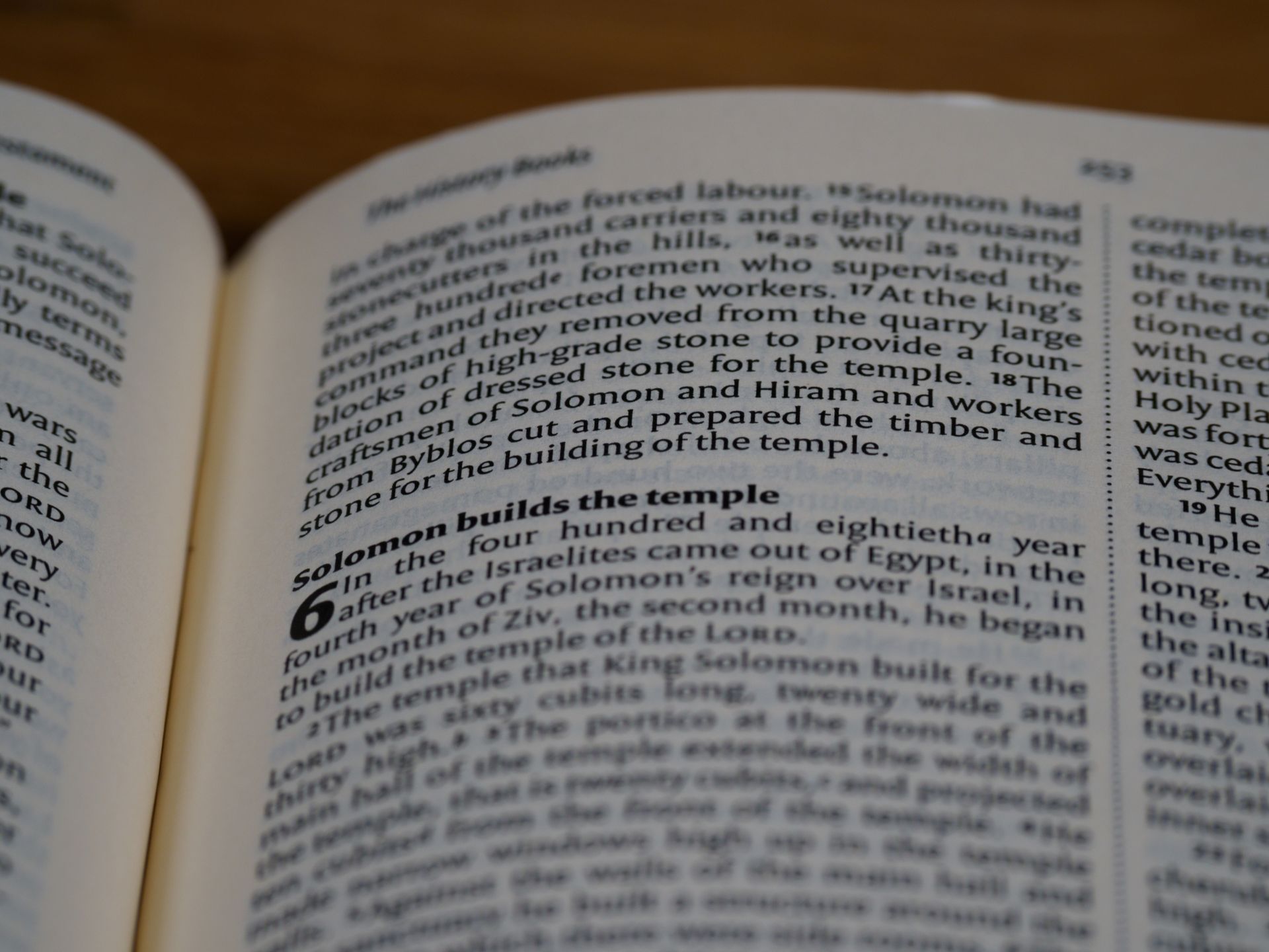 A Bible Verse in Close-Up Photography