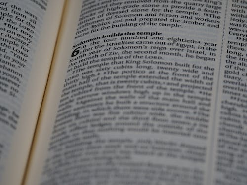 A Bible in Close-Up Photography