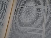 Text