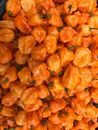 Orange Bell Pepper in Close Up Photography