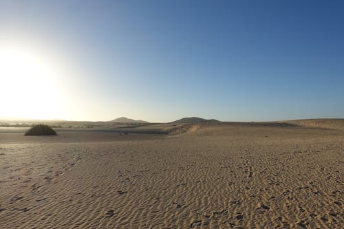 Foto profissional grátis de aborrecido, árido, deserto