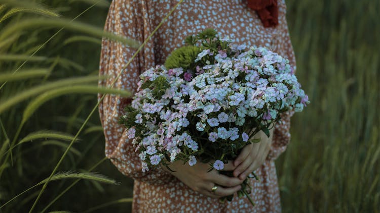 Crop Woman With Forget Me Not Flowers In Countryside