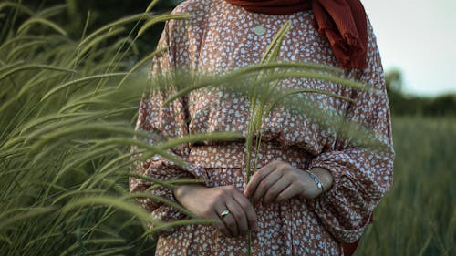 Crop woman with green leaves in field