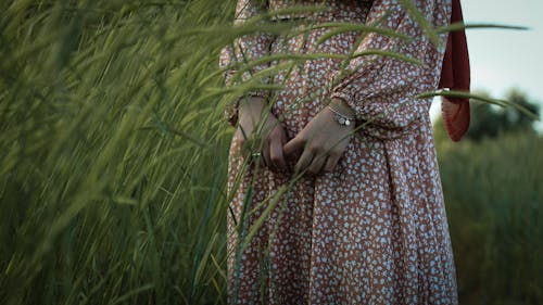 Unrecognizable crop female in simple dress standing in grassy meadow among tall green grass in countryside