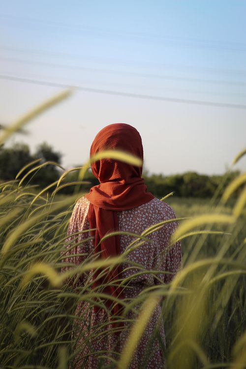 Free Back view of unrecognizable female in hijab and dress standing in grassy light field among tall grass under blue sky Stock Photo