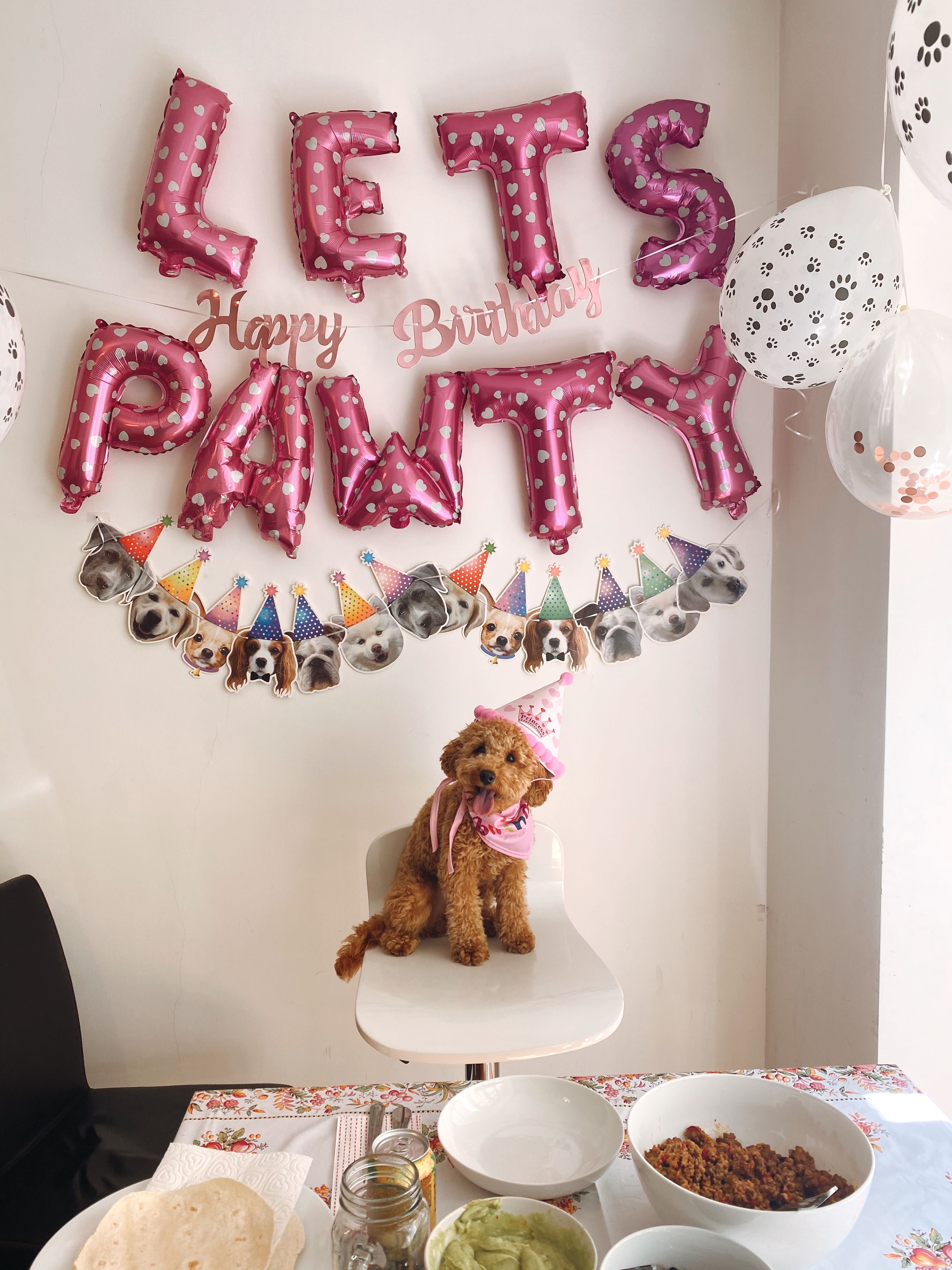 pet party celebration
