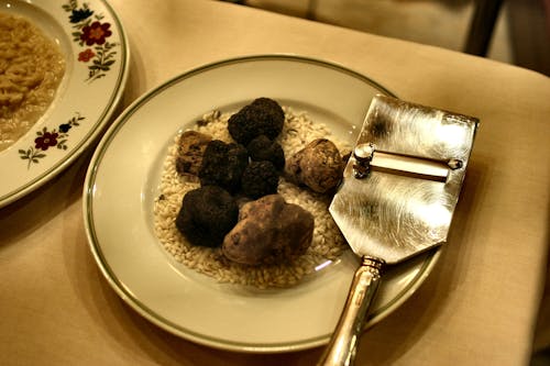 Free Photo of Truffles on the Plate Stock Photo